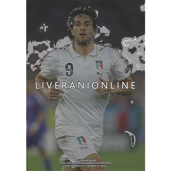 Zurigo 18-06-2008 Europeo calcio EURO2008 italia-francia 2:0 nella foto luca toni ph maco luzzani/ag aldo liverani s.a.s.