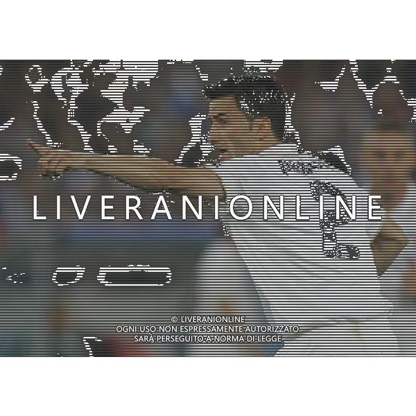 Zurigo 18-06-2008 Europeo calcio EURO2008 italia-francia 2:0 nella foto christian panucci ph maco luzzani/ag aldo liverani s.a.s.