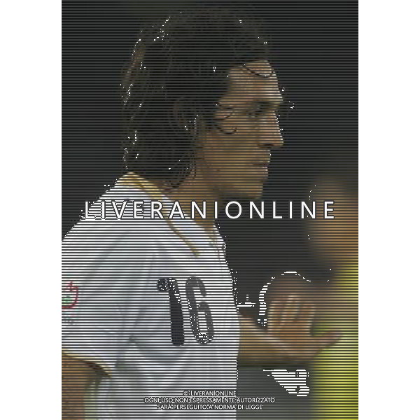 Zurigo 18-06-2008 Europeo calcio EURO2008 italia-francia 2:0 nella foto mauro german camoranesi ph maco luzzani/ag aldo liverani s.a.s.