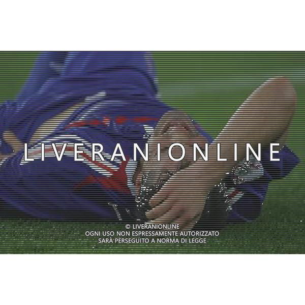 Zurigo 18-06-2008 Europeo calcio EURO2008 italia-francia 2:0 nella foto jeremy toulalan ph maco luzzani/ag aldo liverani s.a.s.