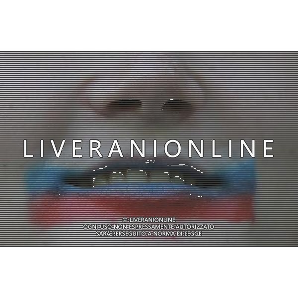 Russia - Svezia 18/06/2008 Europei Svizzera nella foto Tifosi russi ph luzzani/Ag. Aldo Liverani sas