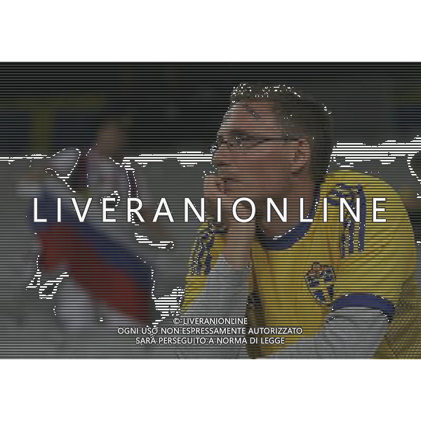 Russia - Svezia 18/06/2008 Europei Innsbruck nella foto la delusione dei tifosi svedesi a fine gara ph luzzani/Ag. Aldo Liverani sas