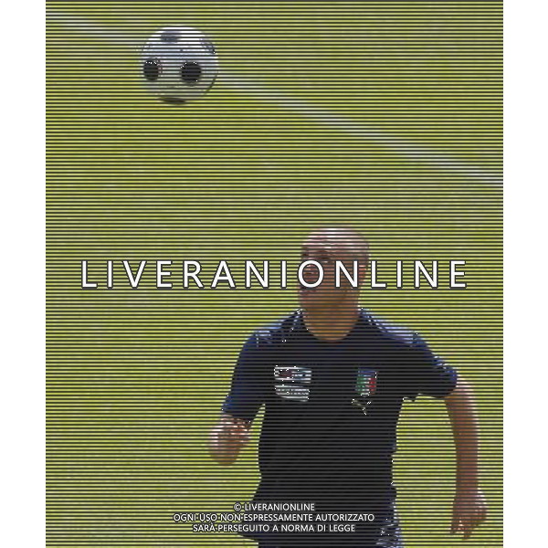 Allenamento Nazionale Italiana Baden - 19.06.2008 Nella Foto:DE ROSSI DANIELE /Ph.Vitez-Ag. Aldo Liverani