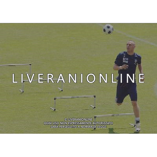 Allenamento Nazionale Italiana Baden - 19.06.2008 Nella Foto:DE ROSSI DANIELE /Ph.Vitez-Ag. Aldo Liverani