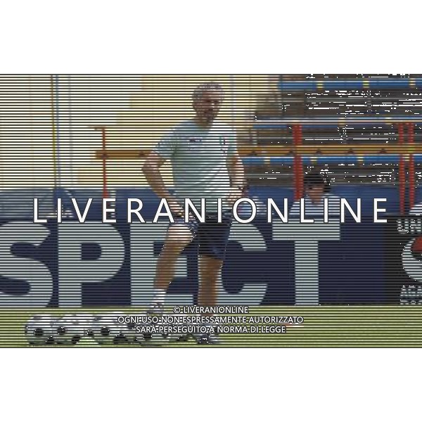 Allenamento Nazionale Italiana Baden - 19.06.2008 Nella Foto:DONADONI ROBERTO /Ph.Vitez-Ag. Aldo Liverani