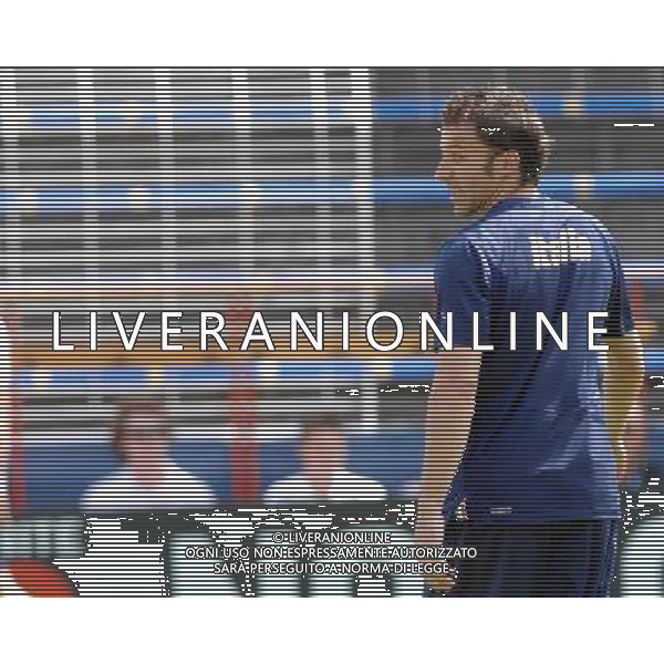 Allenamento Nazionale Italiana Baden - 19.06.2008 Nella Foto:DEL PIERO ALESSANDRO /Ph.Vitez-Ag. Aldo Liverani