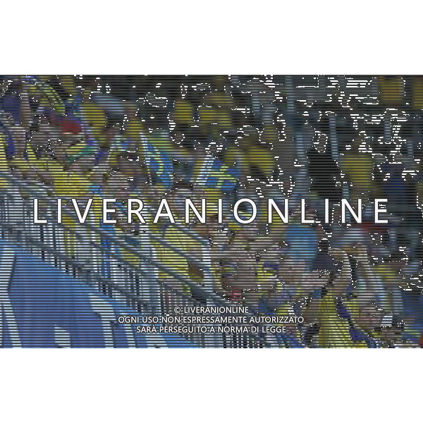 Innsbruck (AUT) 18-06-2008 Campionato europeo calcio EURO2008 Russia-Svezia 2:0 nella foto tifo svezia ph marco luzzani/ag aldo liverani s.a.s.