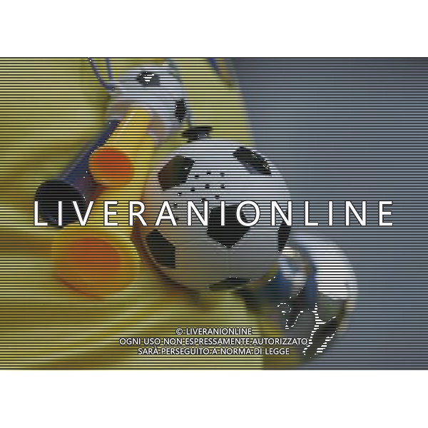 Innsbruck (AUT) 18-06-2008 Campionato europeo calcio EURO2008 Russia-Svezia 2:0 nella foto tifo svezia ph marco luzzani/ag aldo liverani s.a.s.