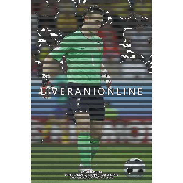 Innsbruck (AUT) 18-06-2008 Campionato europeo calcio EURO2008 Russia-Svezia 2:0 nella foto igor akinfeev ph marco luzzani/ag aldo liverani s.a.s.