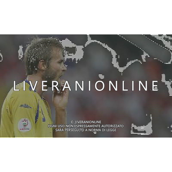 Innsbruck (AUT) 18-06-2008 Campionato europeo calcio EURO2008 Russia-Svezia 2:0 nella foto olof mellberg ph marco luzzani/ag aldo liverani s.a.s.