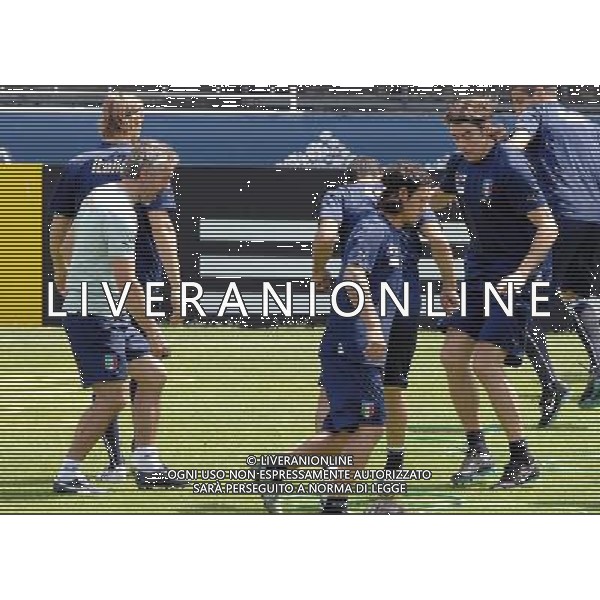 Allenamento Nazionale Italiana Baden - 19.06.2008 Nella Foto:BARZAGLI ANDREA /Ph.Vitez-Ag. Aldo Liverani