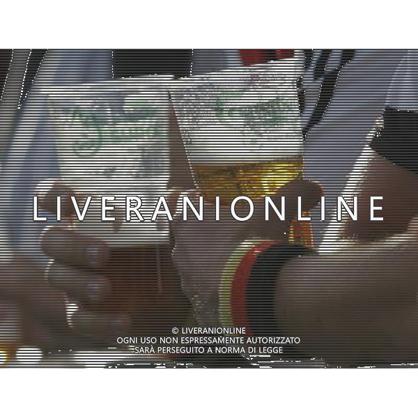 PORTOGALLO-GERMANIA EURO 2008 19/06/2008 NELLA FOTO TIFOSI FOTO MARCO LUZZANI-AG ALDO LIVERANI