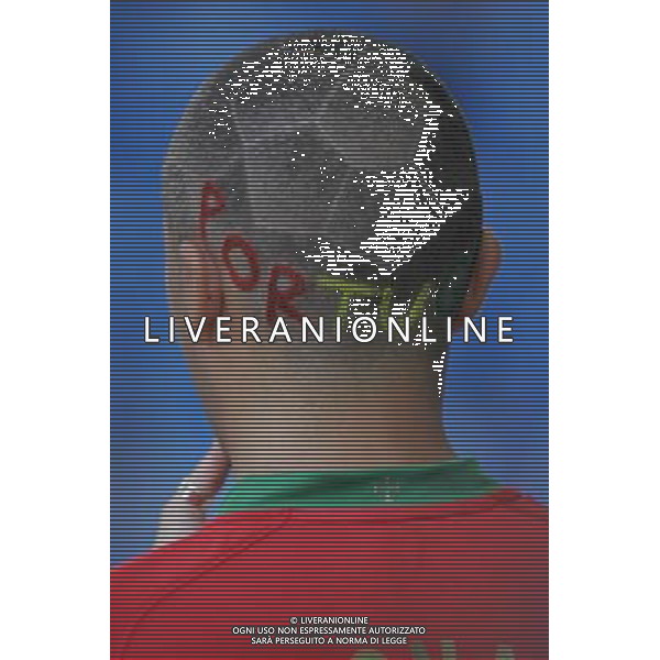 PORTOGALLO-GERMANIA EURO 2008 19/06/2008 NELLA FOTO TIFOSI PORTOGALLO FOTO MARCO LUZZANI-AG ALDO LIVERANI