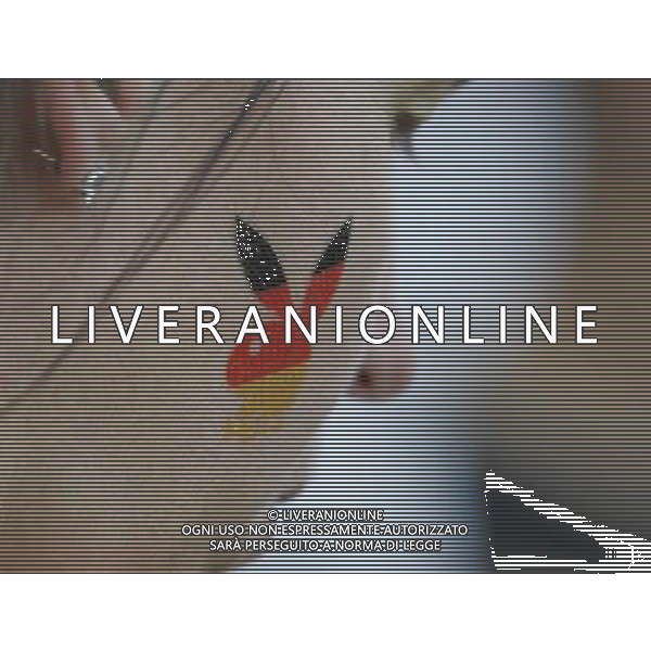 PORTOGALLO-GERMANIA EURO 2008 19/06/2008 NELLA FOTO TIFOSI FOTO MARCO LUZZANI-AG ALDO LIVERANI