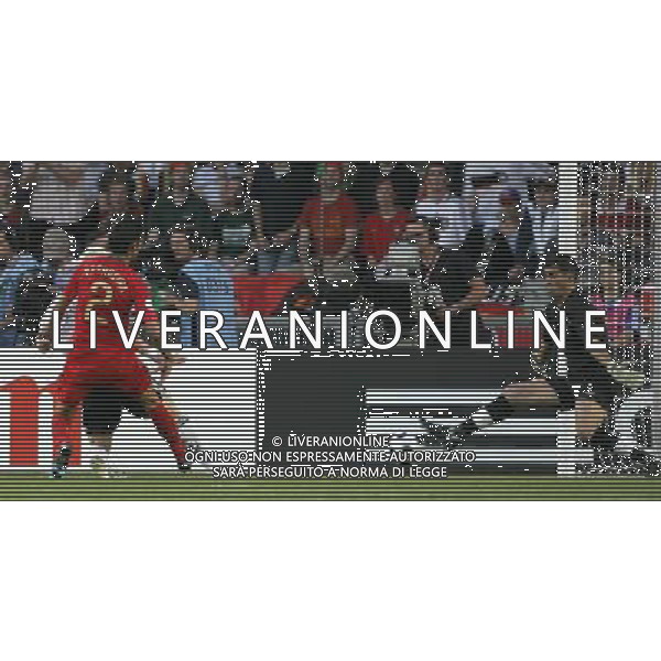 PORTOGALLO-GERMANIA EURO 2008 19/06/2008 NELLA FOTO gol schweinsteiger FOTO MARCO LUZZANI-AG ALDO LIVERANI