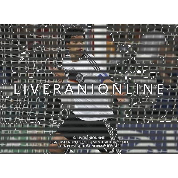 PORTOGALLO-GERMANIA EUROPEI 2008 19/06/2008 NELLA FOTO esultanza dopo il gol di michael ballack FOTO LUZZANI-AG ALDO LIVERANI