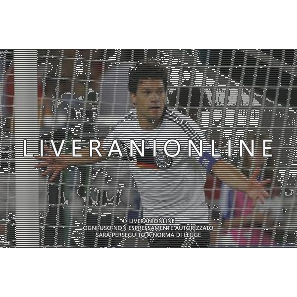 PORTOGALLO-GERMANIA EUROPEI 2008 19/06/2008 NELLA FOTO esultanza dopo il gol di michael ballack FOTO LUZZANI-AG ALDO LIVERANI