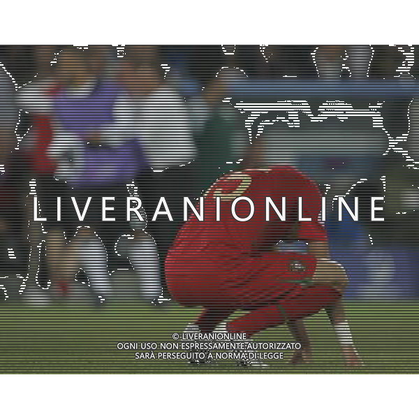 PORTOGALLO-GERMANIA EURO 2008 19/06/2008 NELLA FOTO delusione pepe FOTO MARCO LUZZANI-AG ALDO LIVERANI