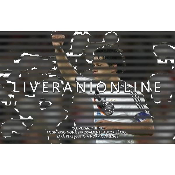 Portogallo - Germania Campionato 19/06/2008 Europei Basilea nella foto esultanza di michael ballack a fine gara ph luzzani/Ag. Aldo Liverani sas