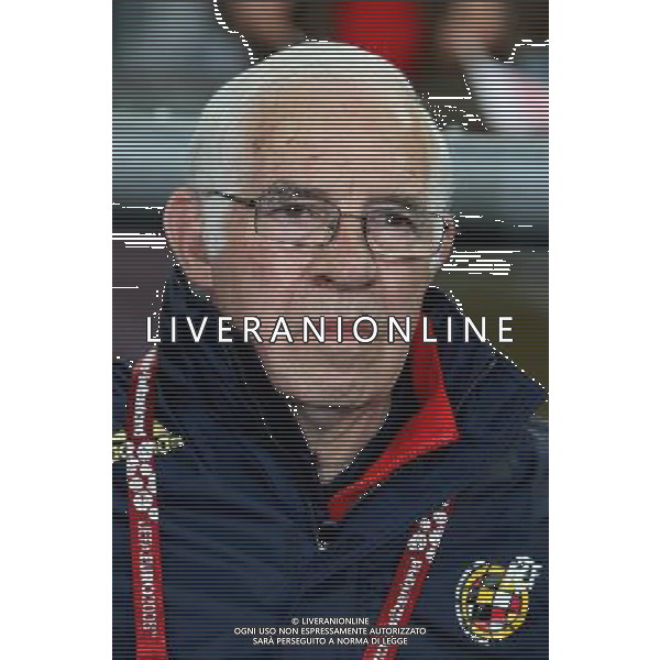SPAGNA EURO 2008 NELLA FOTO Luis AragonŽs FOTOFIRO-AG ALDO LIVERANI