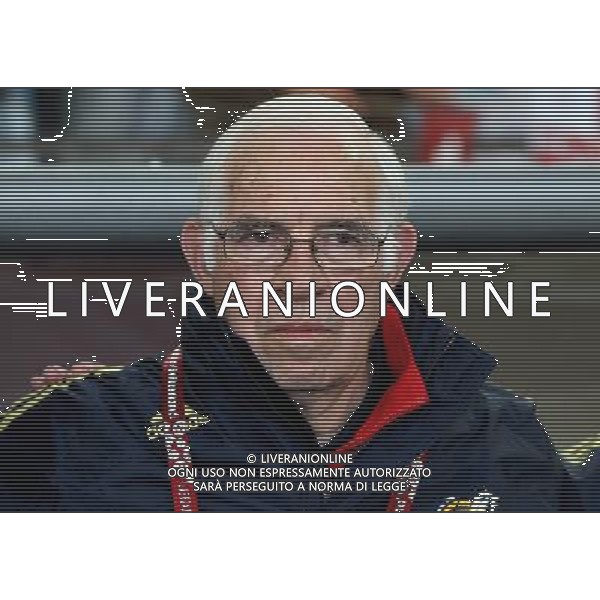 SPAGNA EURO 2008 NELLA FOTO Luis AragonŽs FOTOFIRO-AG ALDO LIVERANI