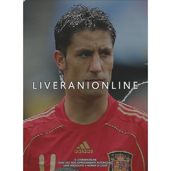 SPAGNA EURO 2008 NELLA FOTO Joan Capdevila FOTOFIRO-AG ALDO LIVERANI