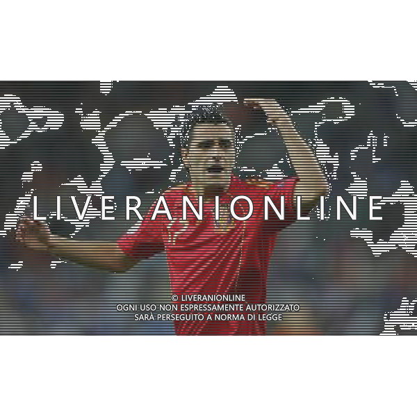 SPAGNA EURO 2008 NELLA FOTO Daniel GŸiza FOTOFIRO-AG ALDO LIVERANI