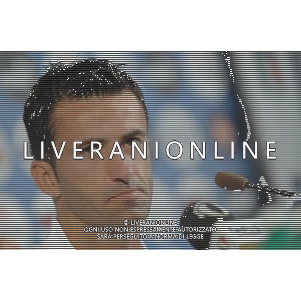 Conferenza Stampa Panucci Christian-Gattuso Gennaro Baden - 20.06.2008 Nella Foto:PANUCCI CHRISTIAN /Ph.Vitez-Ag. Aldo Liverani