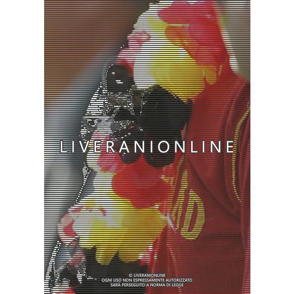 Basilea 19-06-2008 Campionato europeo calcio EURO2008 Portogallo-Germania 2:3 nella foto tifo germania ph marco luzzani/ag aldo liverani s.a.s. 