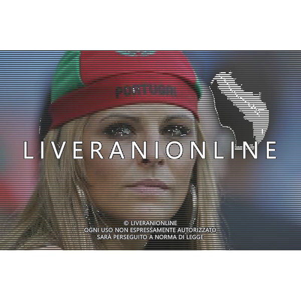 Basilea 19-06-2008 Campionato europeo calcio EURO2008 Portogallo-Germania 2:3 nella foto tifo portogallo ph marco luzzani/ag aldo liverani s.a.s. 