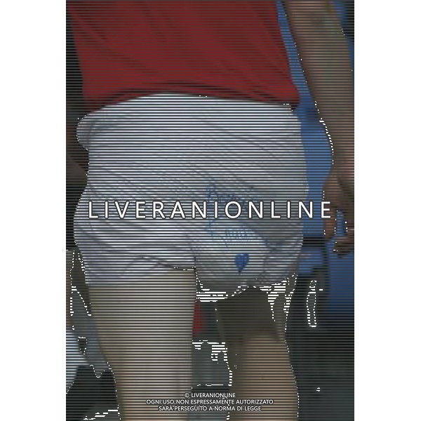 Basilea 19-06-2008 Campionato europeo calcio EURO2008 Portogallo-Germania 2:3 nella foto tifo portogallo ph marco luzzani/ag aldo liverani s.a.s. 