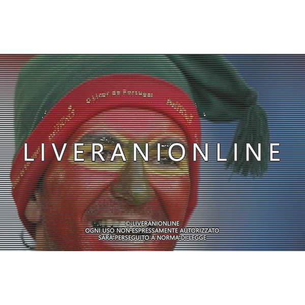 Basilea 19-06-2008 Campionato europeo calcio EURO2008 Portogallo-Germania 2:3 nella foto tifo portogallo ph marco luzzani/ag aldo liverani s.a.s. 