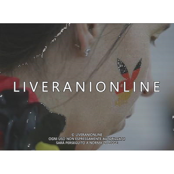 Basilea 19-06-2008 Campionato europeo calcio EURO2008 Portogallo-Germania 2:3 nella foto tifo germania ph marco luzzani/ag aldo liverani s.a.s. 