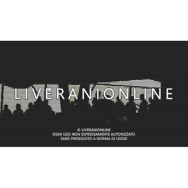 Basilea 19-06-2008 Campionato europeo calcio EURO2008 Portogallo-Germania 2:3 nella foto tifo ph marco luzzani/ag aldo liverani s.a.s. 