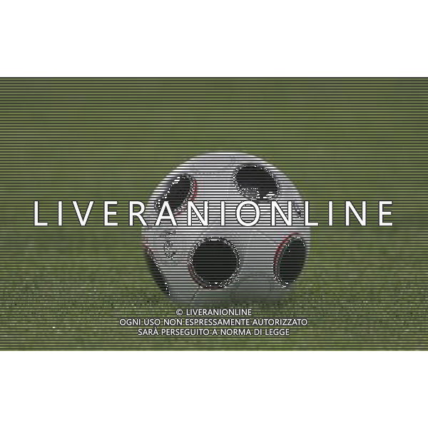 Basilea 19-06-2008 Campionato europeo calcio EURO2008 Portogallo-Germania 2:3 nella foto pallone ph marco luzzani/ag aldo liverani s.a.s. 