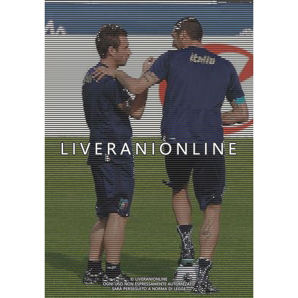 Allenamento Nazionale Italiana Baden - 20.06.2008 Nella Foto:CASSANO ANTONIO-MATERAZZI MARCO /Ph.Vitez-Ag. Aldo Liverani