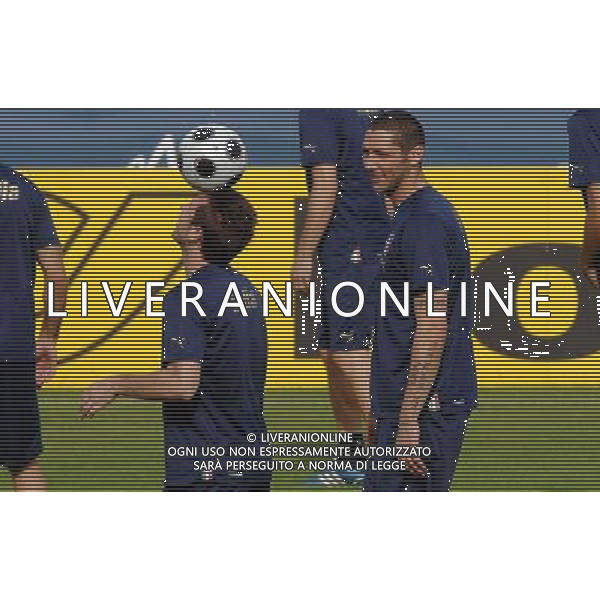 Allenamento Nazionale Italiana Baden - 20.06.2008 Nella Foto:CASSANO ANTONIO-MATERAZZI MARCO /Ph.Vitez-Ag. Aldo Liverani