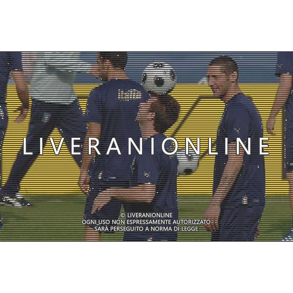 Allenamento Nazionale Italiana Baden - 20.06.2008 Nella Foto:CASSANO ANTONIO-MATERAZZI MARCO /Ph.Vitez-Ag. Aldo Liverani