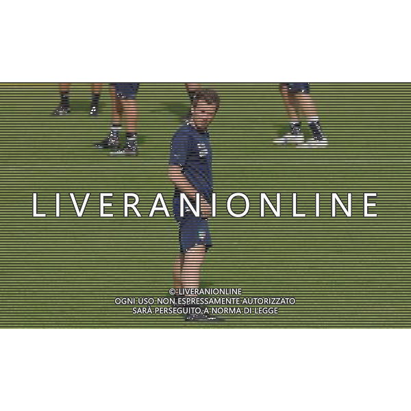 Allenamento Nazionale Italiana Baden - 20.06.2008 Nella Foto:CASSANO ANTONIO /Ph.Vitez-Ag. Aldo Liverani