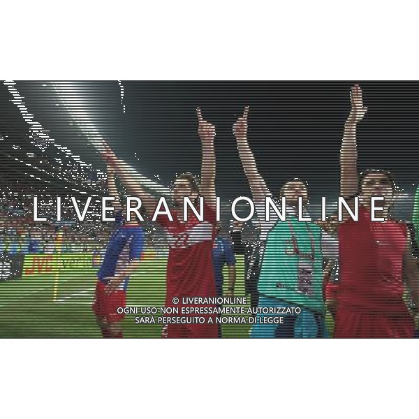 CROAZIA-TURCHIA EURO 2008 20/06/2008 NELLA FOTO ESULTANZA TURCHIA FOTOFIRO-AG ALDO LIVERANI 