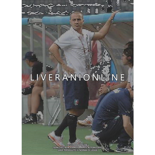 Allenamento Nazionale Italiana a Vienna Vienna - 21.06.2008 Nella Foto:CANNAVARO FABIO /Ph.Vitez-Ag. Aldo Liverani