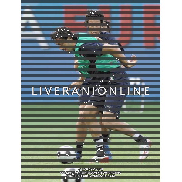 Allenamento Nazionale Italiana a Vienna Vienna - 21.06.2008 Nella Foto:TONI LUCA /Ph.Vitez-Ag. Aldo Liverani