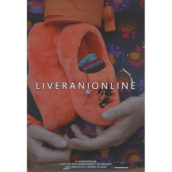 Olanda - Russia 21/06/2008 Europei basilea nella foto Tifosi Olanda Ph luzzani/Ag. Aldo Liverani Sas