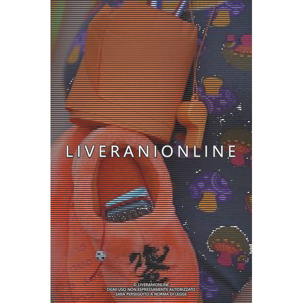 Olanda - Russia 21/06/2008 Europei basilea nella foto Tifosi Olanda Ph luzzani/Ag. Aldo Liverani Sas