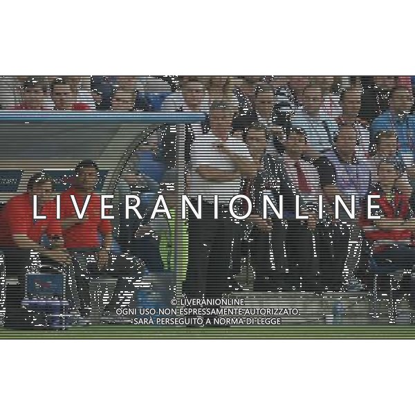 Olanda - Russia 21/06/2008 Europei basilea nella foto gus hiddink Ph luzzani/Ag. Aldo Liverani Sas