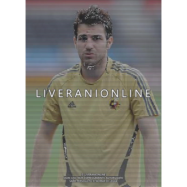 Allenamento Nazionale Spagnola a Vienna Vienna - 21.06.2008 Nella Foto:FABREGAS /Ph.Vitez-Ag. Aldo Liverani