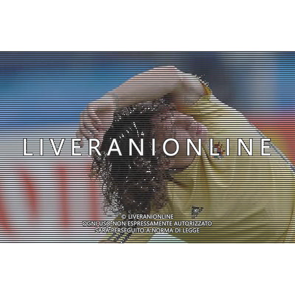 Allenamento Nazionale Spagnola a Vienna Vienna - 21.06.2008 Nella Foto:PUYOL /Ph.Vitez-Ag. Aldo Liverani