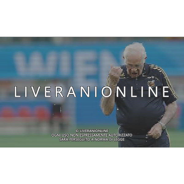 Allenamento Nazionale Spagnola a Vienna Vienna - 21.06.2008 Nella Foto:ARAGONES /Ph.Vitez-Ag. Aldo Liverani