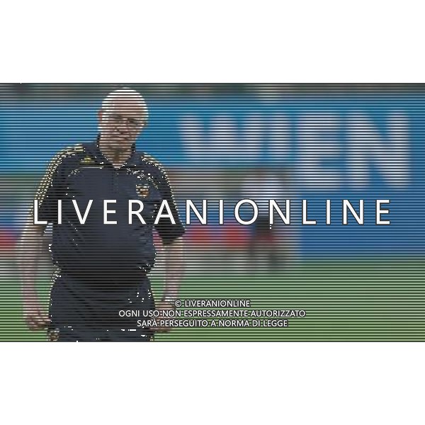 Allenamento Nazionale Spagnola a Vienna Vienna - 21.06.2008 Nella Foto:ARAGONES /Ph.Vitez-Ag. Aldo Liverani