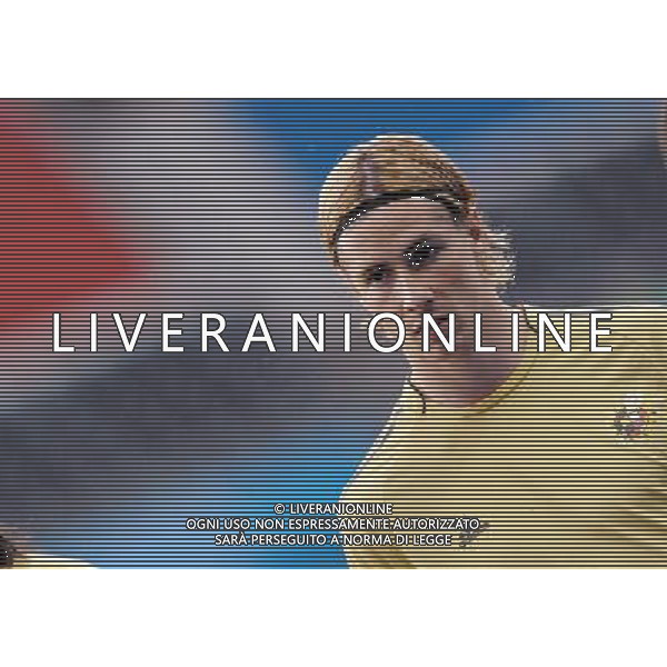 Allenamento Nazionale Spagnola a Vienna Vienna - 21.06.2008 Nella Foto:TORRES /Ph.Vitez-Ag. Aldo Liverani